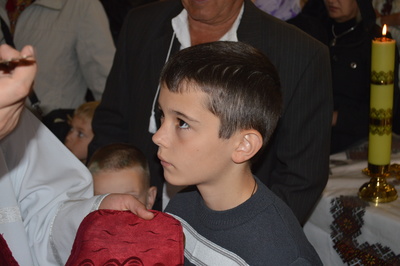 dsc_0088_400 dsc_0088_400
