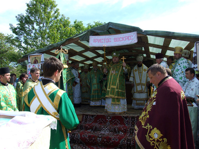 mal_il09_400 mal_il09_400